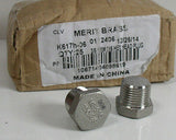 (25) Merit Brass K617H-06 316 SS 3/8" MNPT Hex Head Plug 150# Box of 25